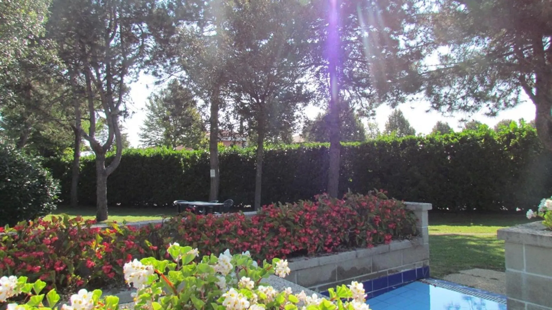 شقة Super Nice Studio In Amazing Residence بيبيوني